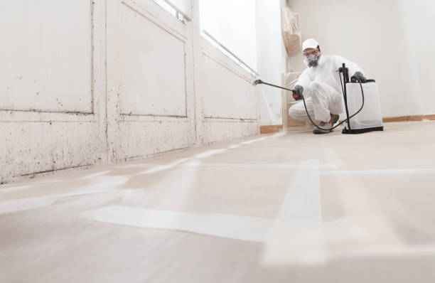 24/7 Emergency Attic Mold Removal experts in Chatham, VA