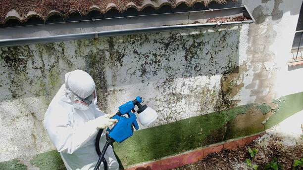 Top rated local Attic Mold Removal specialists in Chatham, VA